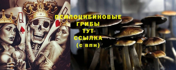 мдпв Пересвет